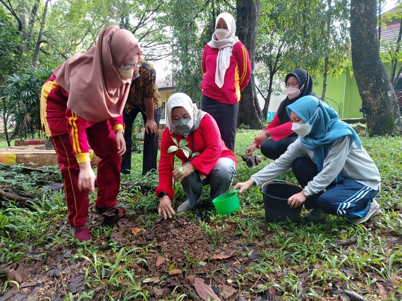 Hari Pohon Sedunia tahun 2022
